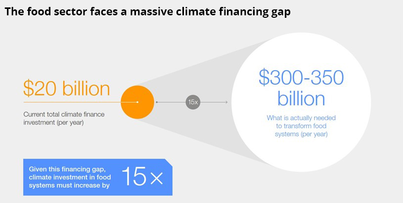 Closing the Climate Financing Gap for the Food Sector: 5 Strategies - WSJ