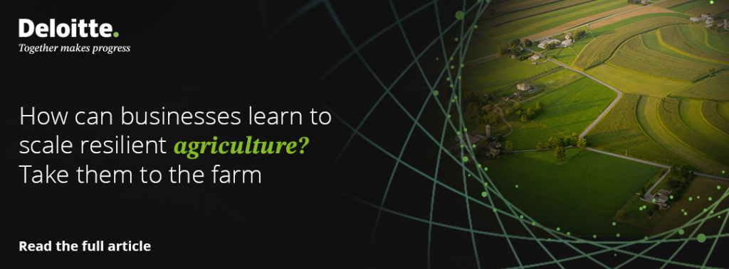 Deloitte Logo.