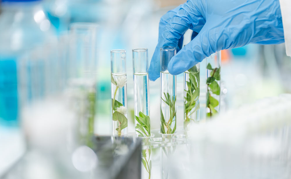Trends in Biotech: Bringing New Life to People, Products, and 