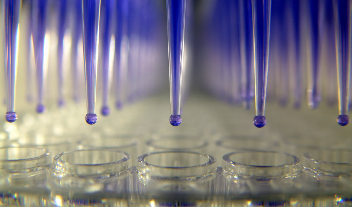 Data Ai And Automation Can Fuel Biopharma S R D Labs Of The Future Wsj